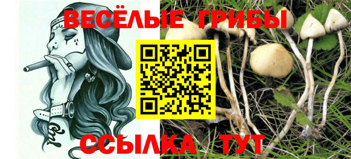 Галлюциногенные грибы Magic Shrooms  Псилоцибиновые грибы мухоморы  Элиста  Вход с VPN 